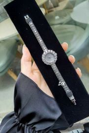 Picture of Dior Watches Women _SKU1024dior-2nms3803